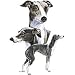 Italian Greyhound Adult T-Shirt
