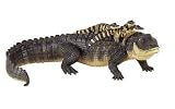  : Incredible Creatures - Alligator with Babies