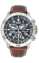 Citizen Men's Eco-Drive Perpetual Calendar Chronograph Watch #BL5250-02L