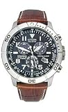 Citizen Men's Eco-Drive Perpetual Calendar watch #BL525002L