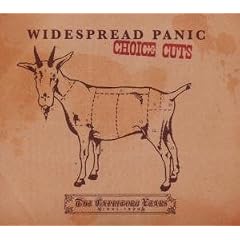 Choice Cuts: The Capricorn Years 1991-1999