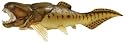 Wild Safari Dunkleosteus