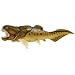 Wild Safari Dunkleosteus