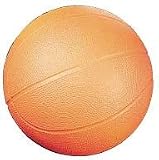 Champion Sports Coated High Density Foam Basketball