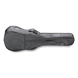 Review Stagg  / 3/4 Classical Guitar Carry Case / Gigbag