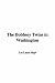 The Bobbsey Twins in Washingto...