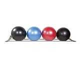 Power Systems Elite Stability Ball Wall Storage Rack