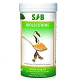 SFB 