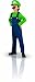 Super Mario Brothers, Luigi Costume, Medium