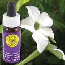FLOWER ESSENCE SERVICES, Nicotiana Dropper - 0.25 oz