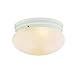Transglobe Lighting 3619 WH Flush Mount with Opal Glass Shade, White Finished