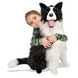 Plush Border Collie