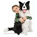 Plush Border Collie
