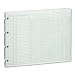 Wilson Jones G10-10A Green Columnar Sheets, Single Page Format, 10 Cols, 9-1/4X11-7/8, 100/Pk
