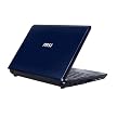 MSI Wind 10.2" Netbook Computer with 6-Cell Battery - Blue (U123-001US)