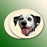 Dalmatian Coasters - 4 Pack