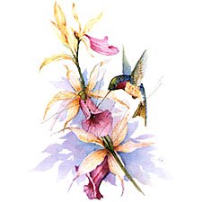 Hummingbird/Orchids T-Shirt