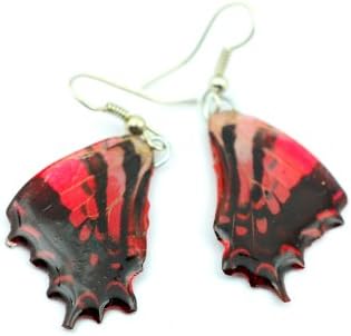 Butterfly Wing Earring Red Black Stripes.100% Natural.