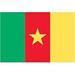 Cameroon Flag 3ft x 5ft Nylon