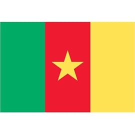 Cameroon Flag 3ft x 5ft Superknit Polyester
