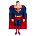 Search : Justice League DC Super Heroes 10