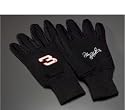 #3 Dale Earnhardt Sr.