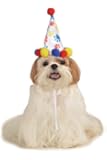 Rubies Costume Halloween Classics Collection Pet Costume, Medium to Large, Boy Paw Print Birthday Hat