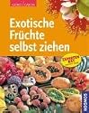 Exotische Früchte selbst ziehen: Expertenrat aus erster Hand