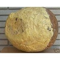 African Shea Butter Cream 16 Oz. (100% Pure & Raw)
