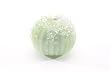 Urchin Ball