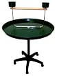 Brand New Parrot Bird Stand Play Gym 36Dx50H