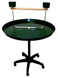 Brand New Parrot Bird Stand Play Gym 36Dx50H