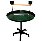 Brand New Parrot Bird Stand Play Gym 36Dx50H