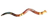 44- 46 Jumbo Yemenite Hand Painted Kudu Horn Shofar - Colorful Jerusalem, with Free Anti Odor Spray, Made in Israel