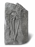 IMAGE OF Dragonfly Stone Garden Sculpture (20