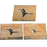 盛光 真鍮型板 祝型板(鶴) 3枚セット DUSK-0103-tsuru