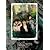 Sh15uya シブヤフィフティーン VOL.1 コレクターズパック [DVD]