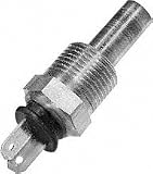 Borg Warner WT3005 Temperature Sensor