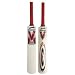 Slazenger v600 Panther Cricket Bat