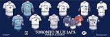 Toronto Blue Jays 10 x 30 Uniform History Plaque