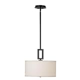Kenroy Home 10061ORB Endicott Pendant, Oil Rubbed Bronze