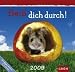 Beiß dich durch! 2009