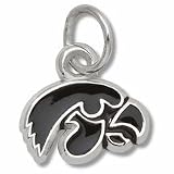 Iowa Hawkeyes 1/4 Tiger Hawk Enameled Charm - Sterling Silver Jewelry