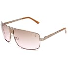 baby phat Aoki Metal Sunglasses