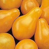 Organic Yellow Pear Cherry Tomato - 50 Seeds - Heirloom