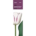 2009 Tulips Bookmark Calendar by Peter Arnold