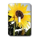 Flowers - Sunflower - Light Switch Covers - single toggle switch