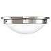 2 Light Indoor Flush Mount