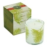 The Thymes Frasier Fir Candle