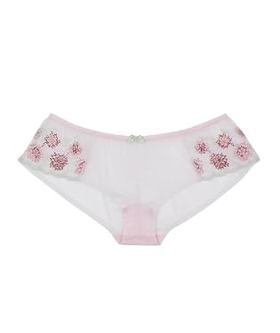 Embroidered briefs 14
